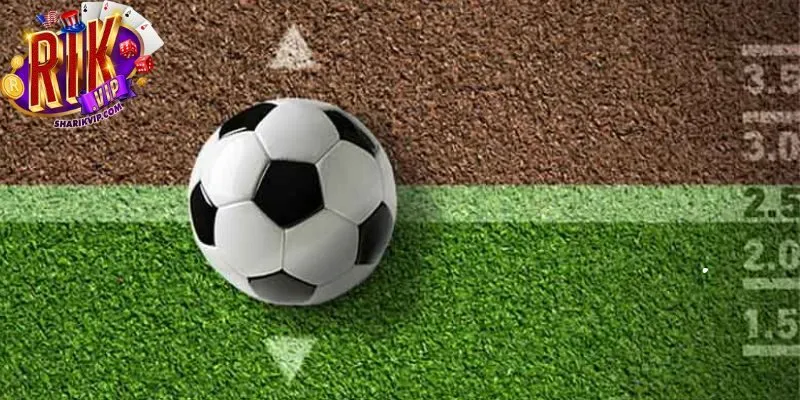 Tìm hiểu các tỷ lệ kèo phổ biến khi tham gia cá cược bóng đá